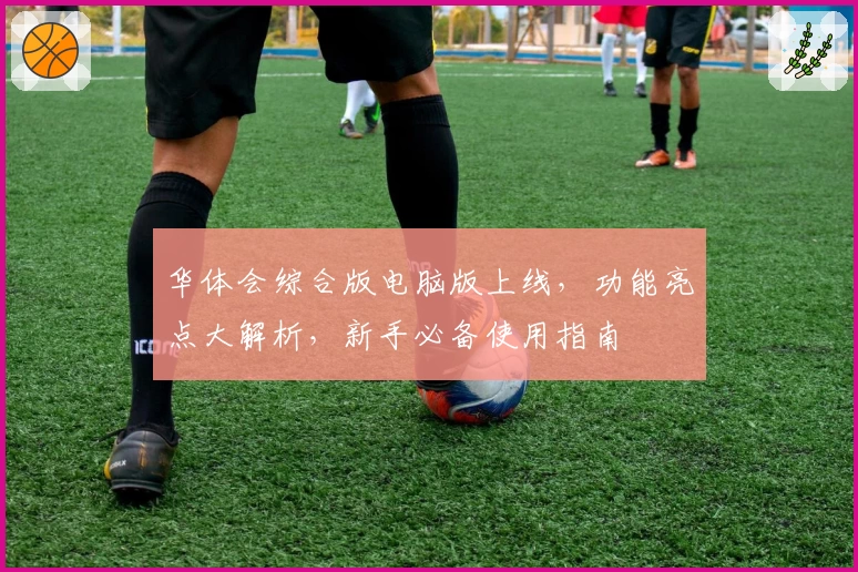 华体会综合版电脑版上线，功能亮点大解析，新手必备使用指南