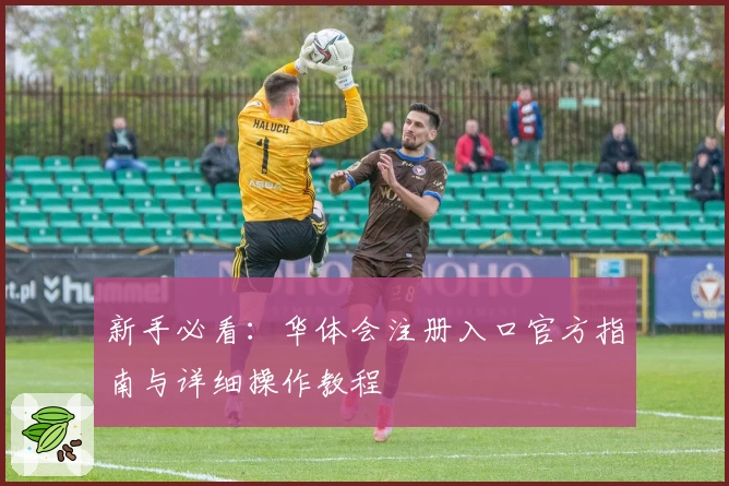 新手必看：华体会注册入口官方指南与详细操作教程